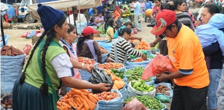 Temporada-fria-incrementa-el-precio-de-las-verduras