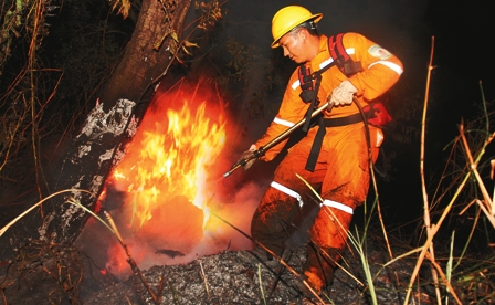 FOTOGRAFIA DANOS INCENDIO fotografia danos incendio: