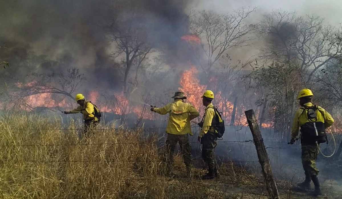 El DÍa Noticias De Bolivia Para El Mundo 0966