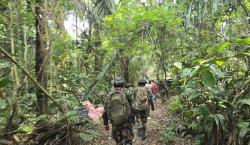 Hallan casi media tonelada de droga en pista clandestina y los implicados escapan al monte