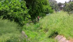 Vecinos exigen la poda y limpieza en plazuelas y canales de drenaje