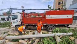 Santa Cruz: Fuertes vientos en Nochebuena provocan caída de árboles y techos