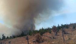 Chile decreta alerta roja en varias comunas por grandes incendios forestales