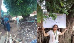 Comunarios evitan la tala de un longevo y simbólico árbol en Ascensión