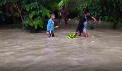 Baja el agua que inundó viviendas y activan tareas de limpieza en Zongo Tropical en La Paz