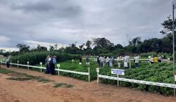 Exposoya reafirma la innovación en prácticas agrícolas sostenibles para aumentar la producción de alimentos