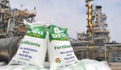 Gobierno confirma que planta de urea de Bulo Bulo no opera por mantenimiento hasta marzo