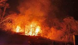 Mujeres de comunidades chiquitanas denuncian que durante los incendios forestales de 2024 la violencia sexual aumentó