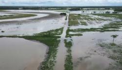 Productores de El Puente claman ayuda por desborde del río Grande que afectó 7 mil hectáreas