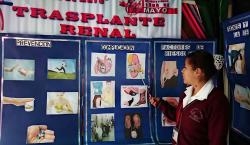 Reportan más de 6.400 pacientes con enfermedad renal en Bolivia y casos se elevan en 14% al año