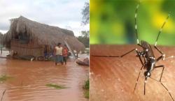 Casos de malaria podrían incrementarse en Riberalta debido a las inundaciones