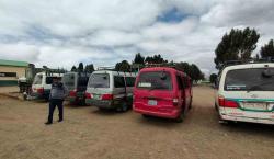 Operativos en La Paz: Incautan ganado, carne de cerdo y vehículos ilegales en un golpe al contrabando