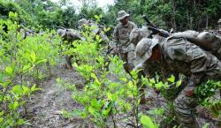 Suspenden erradicación de hoja de coca en Yapacaní tras amenazas de comunarios