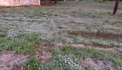 Primera helada del año afecta cultivos en los valles cruceños