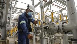 El consumo interno de gas natural superó a las exportaciones, según un analista