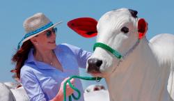 Mónica Marchett: La genética bovina boliviana tiene calidad, respaldo técnico y empresas comprometidas