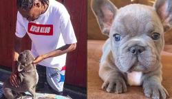 Snoop Dogg llora la muerte de su bulldog francés que le regaló Wiz Khalifa