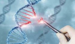 Científicos dan un gran paso hacia la creación de ADN humano artificial