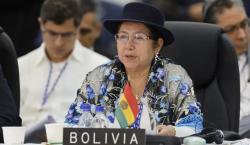 El Gobierno alerta en la OEA sobre “tensiones políticas” que ponen en riesgo las elecciones
