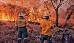 Bolivia registra 632 focos de calor, con el 85% concentrado en Santa Cruz
