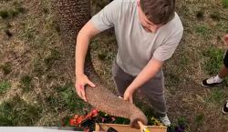 Polémica por video de MrBeast: acusan uso indebido de animales salvajes para entretenimiento