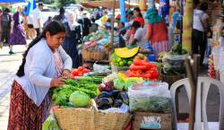 En el primer semestre, Bolivia supera en inflación a la Argentina y es segundo en la región