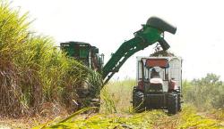 La falta de combustibles perjudica el avance de la zafra cañera en el norte cruceño