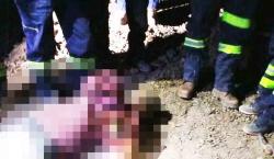 Tragedia en Amayapampa: cinco trabajadores mueren en un derrumbe en la mina de oro