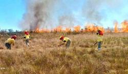 El gobierno señala que se controló 40 % del incendio en el parque Noel Kempff Mercado