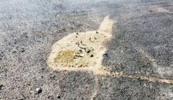 Incendio en el parque Noel Kempff ya arrasó más de 14 mil hectáreas y el fuego lleva ocho días activo