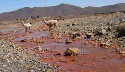 Gobierno en alerta: Declaran estado de emergencia nacional por crisis de contaminación minera