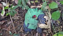 Reportados como desaparecidos: Encuentran cuerpos de una familia en estado de descomposición en el trópico