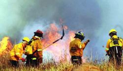 Bolivia en la mira: Tres incendios despiertan alarmas por riesgo de propagación
