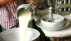 Denuncian el cierre masivo de lecherías: La producción de leche se derrumba, de 350.000 a 230.000 litros diarios
