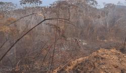 Gobierno reporta control de todos los incendios forestales, salvo en el parque de Caparuch