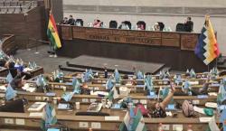 Diputados aprueba la ley de diferimiento de pago de créditos y la remite al Senado