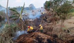 Con 74 mil hectáreas quemadas, San Ignacio es el municipio más afectado por incendios