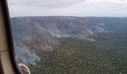 Santa Cruz enfrenta 22 incendios forestales activos en medio de ola de calor y fuertes vientos