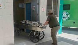 Asesinato de una adolescente: la desgarradora confesión de su madre y padrastro