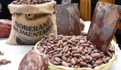 Exportaciones de cacao y café de Bolivia suben a $us 10 y 15 millones en cinco años