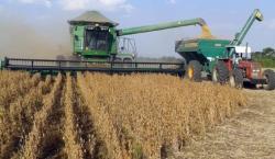 El agro necesita 50 millones de litros de diésel en octubre; el gobierno solo ofrece 35 millones para dos meses
