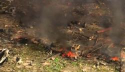 Ningún sobreviviente tras explosión en fábrica de EE. UU.