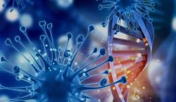 La inteligencia artificial podría predecir la estructura de cada virus conocido: cómo funciona