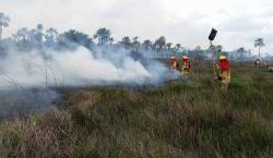Acción coordinada permite contener fuego forestal en Chaco Viejo – La Pampa
