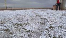 En Potosí las lluvias y granizos dejan más de 200 familias y al menos 140 hectáreas de cultivos afectadas