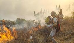 Gobierno resalta que impacto de los incendios bajó de 10 millones a medio millón de hectáreas afectadas