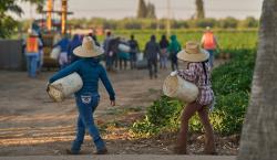 EE.UU. reduce ventajas a los permisos de trabajo