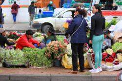 Todos Santos: cierre de calles, restricciones y miles de visitas previstas en los cementerios