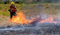 Bolivia reporta seis incendios activos