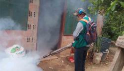 En Riberalta reportan 315 personas con dengue y llaman a la población a eliminar criaderos del mosquito transmisor